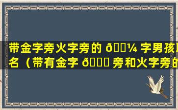 带金字旁火字旁的 🐼 字男孩取名（带有金字 🍁 旁和火字旁的男孩名字有哪些）